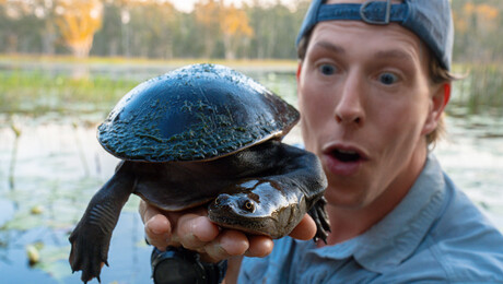 Freeks Wilde Wereld | Schildpadden in Australië